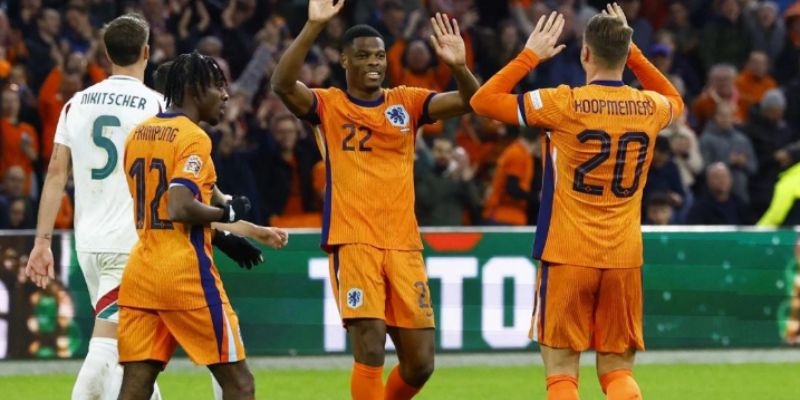 Các ký hiệu và thông tin thường thấy trên Bongdalu